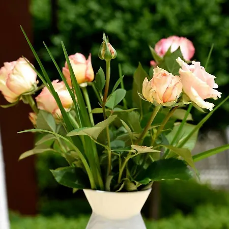 Katharina Garni Pensionat