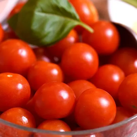 Katharina Garni Tübingen