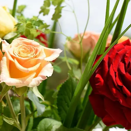 Katharina Garni Pensionat